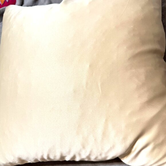 Throw Pillow 21x21 Geometric Stitching West Lake Home Duck Feather Beige Satin - Picture 12 of 12